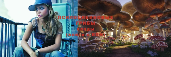 наркотики Алексин
