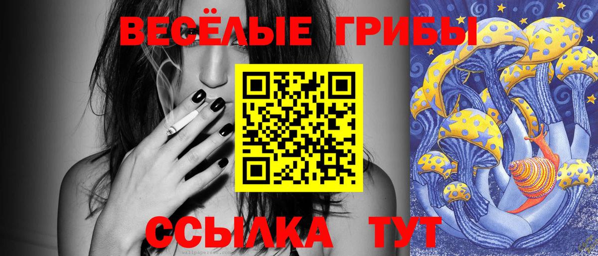 Галлюциногенные грибы Cubensis Ирбит