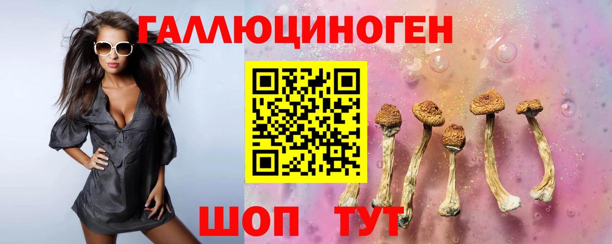 Псилоцибиновые грибы Cubensis  Вход с VPN  Псилоцибиновые грибы Cubensis  Ирбит 